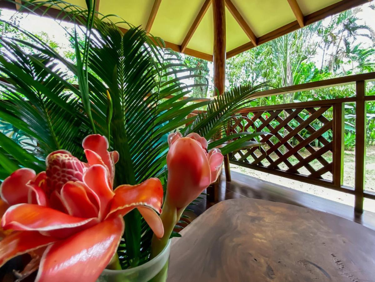 Finca Chica Lodge & Villas Puerto Viejo de Talamanca Extérieur photo