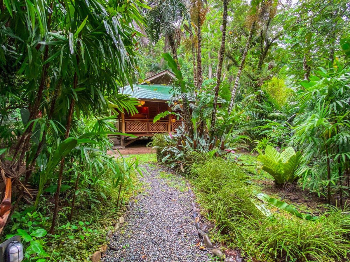 Finca Chica Lodge & Villas Puerto Viejo de Talamanca Extérieur photo